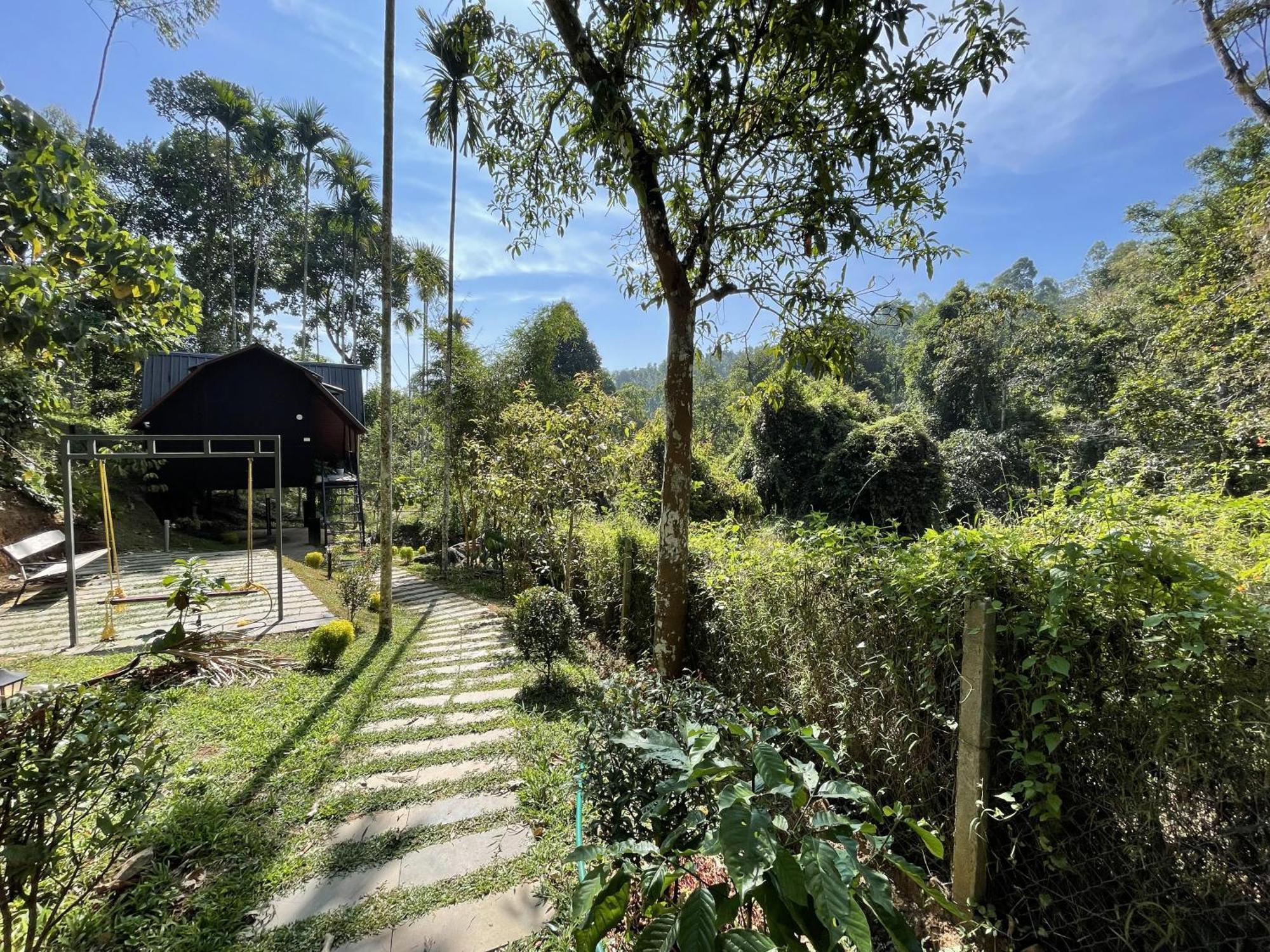 Wetlands Wayanad Pool Resort With Natural Waterfalls Padinjarathara Exterior photo