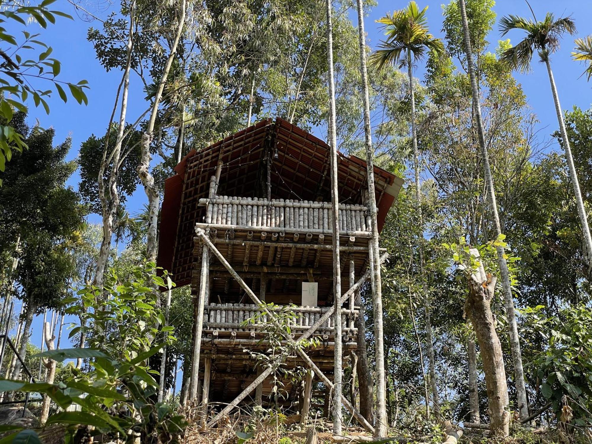 Wetlands Wayanad Pool Resort With Natural Waterfalls Padinjarathara Exterior photo