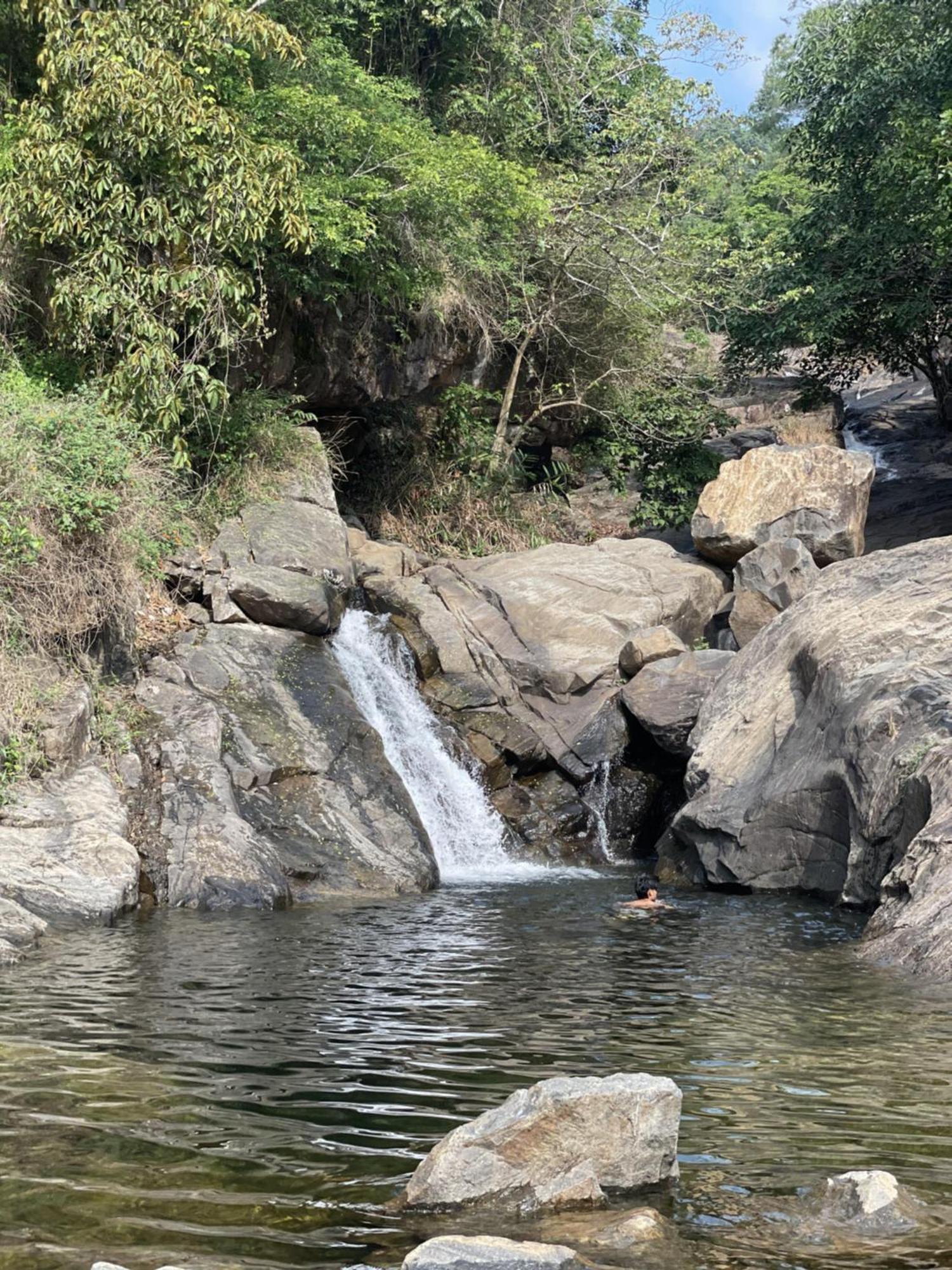 Wetlands Wayanad Pool Resort With Natural Waterfalls Padinjarathara Exterior photo