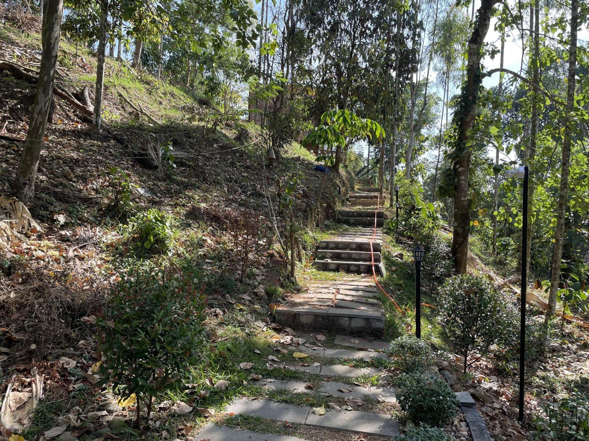 Wetlands Wayanad Pool Resort With Natural Waterfalls Padinjarathara Exterior photo
